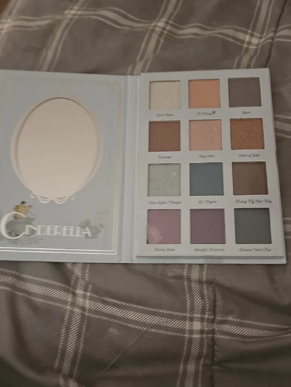 Disney cinderella themed